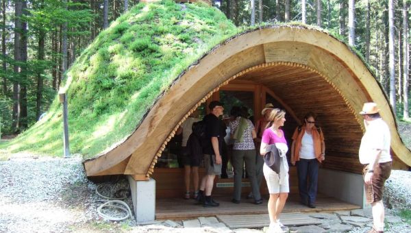 LIONS CLUB Ausflug ins Nationalparkzentrum Falkenstein